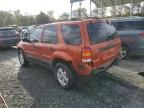 2006 Ford Escape XLT