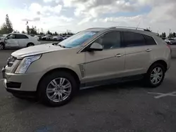 Cadillac SRX salvage cars for sale: 2011 Cadillac SRX Luxury Collection