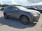 2024 Lexus NX 350H Base