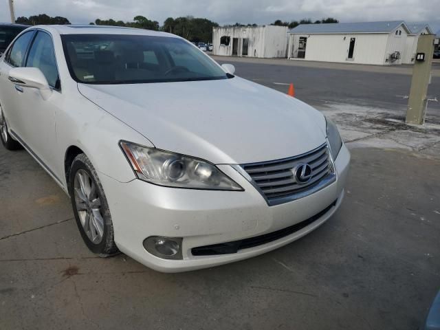 2010 Lexus ES 350