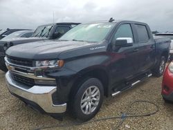 Salvage cars for sale at Arcadia, FL auction: 2020 Chevrolet Silverado C1500 LT