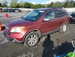 Honda salvage cars for sale: 2009 Honda CR-V EXL