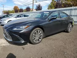 Lexus Vehiculos salvage en venta: 2019 Lexus ES 350