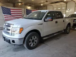 Vehiculos salvage en venta de Copart Columbia, MO: 2013 Ford F150 Supercrew