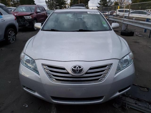 2009 Toyota Camry Hybrid