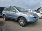 2010 Honda CR-V EXL