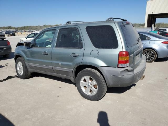 2007 Ford Escape XLT