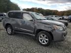 2013 Lexus GX 460