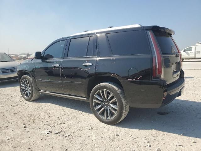 2020 Cadillac Escalade Platinum