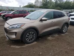 Salvage cars for sale at Davison, MI auction: 2021 Ford Escape SE