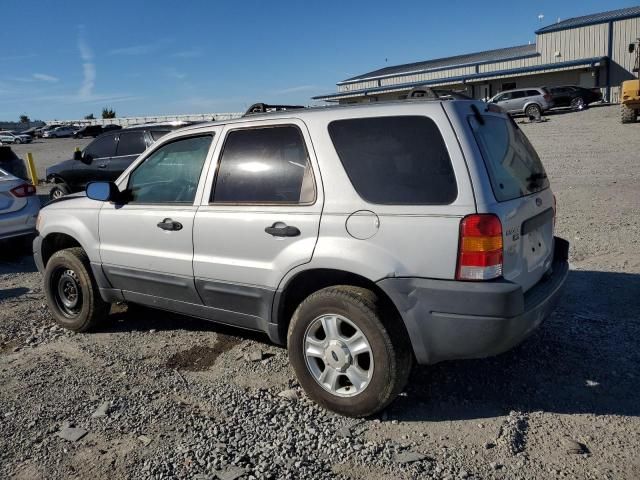 2004 Ford Escape XLT