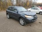 2007 Hyundai Santa FE GL