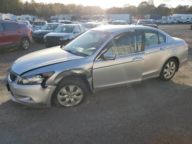 2008 Honda Accord EXL