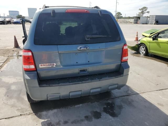 2010 Ford Escape XLT