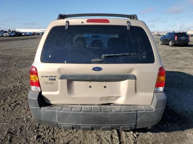 2007 Ford Escape XLT