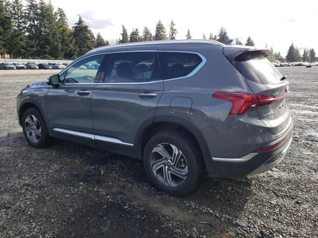 2023 Hyundai Santa FE SEL Premium