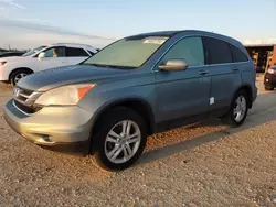 Honda salvage cars for sale: 2010 Honda CR-V EXL