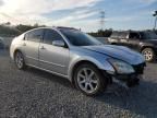 2007 Nissan Maxima SE