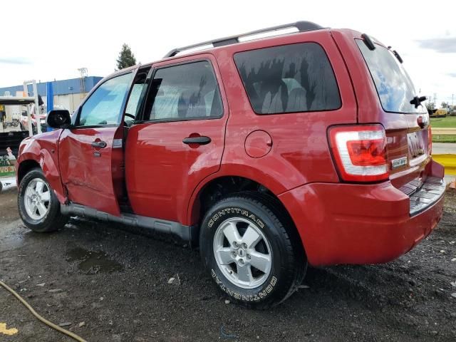 2010 Ford Escape XLT