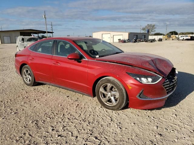 2021 Hyundai Sonata SE