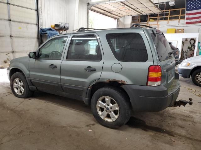 2007 Ford Escape XLT