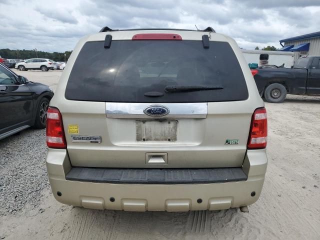 2011 Ford Escape Limited