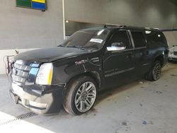 Cadillac salvage cars for sale: 2013 Cadillac Escalade ESV Premium