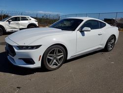 Ford salvage cars for sale: 2024 Ford Mustang