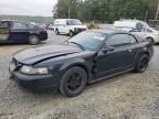 2000 Ford Mustang GT