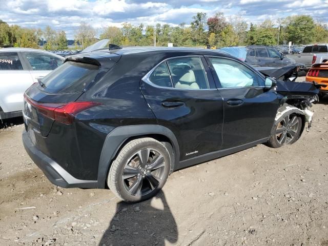 2019 Lexus UX 250H