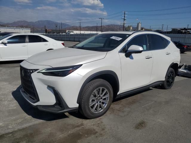 2024 Lexus NX 450H Luxury