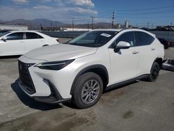 Lexus nx 450h lu Vehiculos salvage en venta: 2024 Lexus NX 450H Luxury