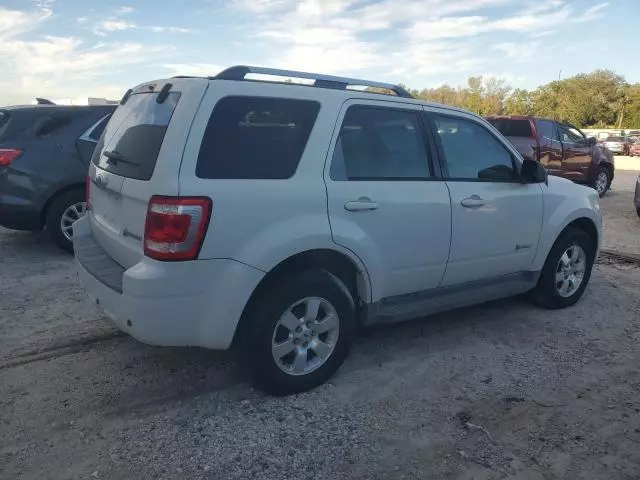 2009 Ford Escape Hybrid