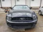 2013 Ford Mustang