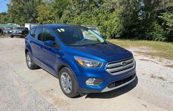 Ford salvage cars for sale: 2019 Ford Escape SE