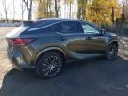 2023 Lexus RX 350 Base