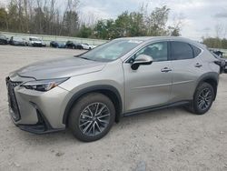 2025 Lexus NX 350H Base en venta en Leroy, NY