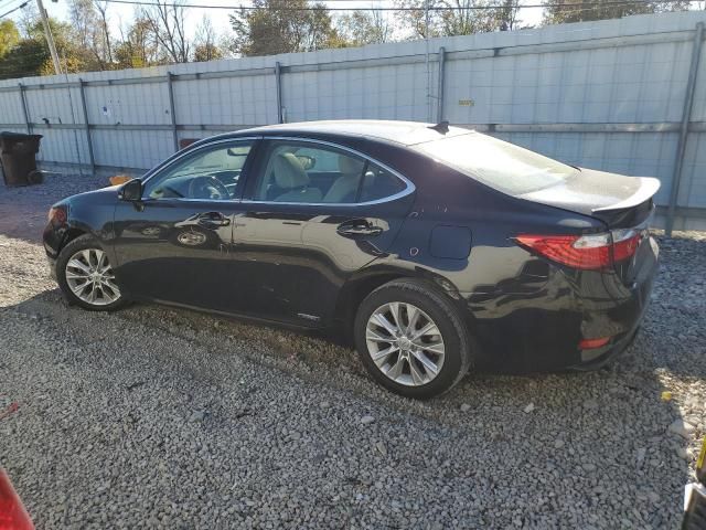 2013 Lexus ES 300H