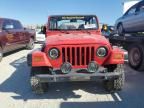 1997 Jeep Wrangler / TJ Sport