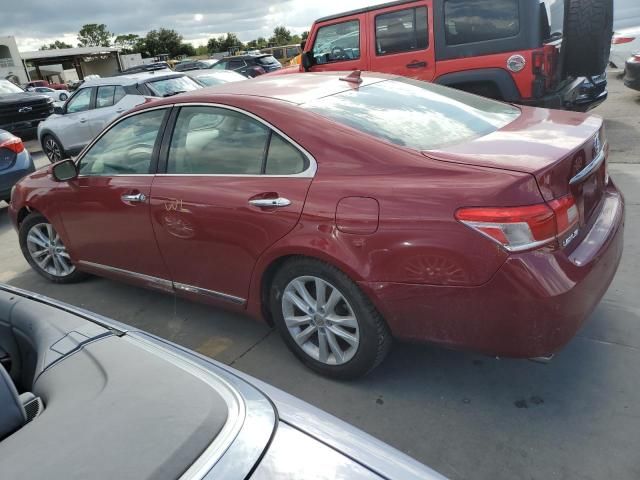 2010 Lexus ES 350