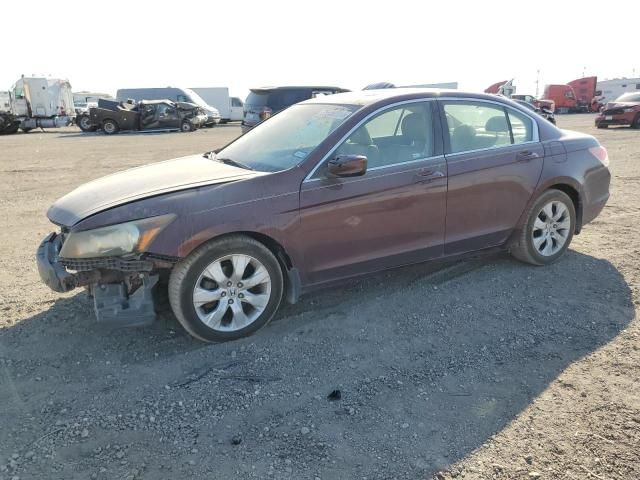 2008 Honda Accord EXL