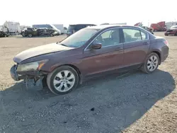 Salvage cars for sale at Houston, TX auction: 2008 Honda Accord EXL