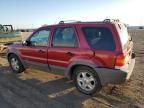 2001 Ford Escape XLT