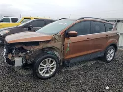 Ford Escape salvage cars for sale: 2017 Ford Escape SE