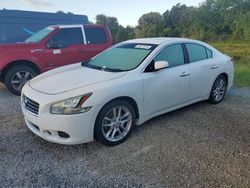 Salvage cars for sale at Fort Pierce, FL auction: 2011 Nissan Maxima S