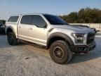 2019 Ford F150 Raptor