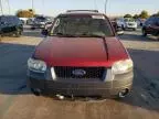 2005 Ford Escape XLT