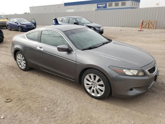 2009 Honda Accord EXL