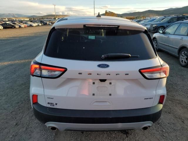 2021 Ford Escape SE