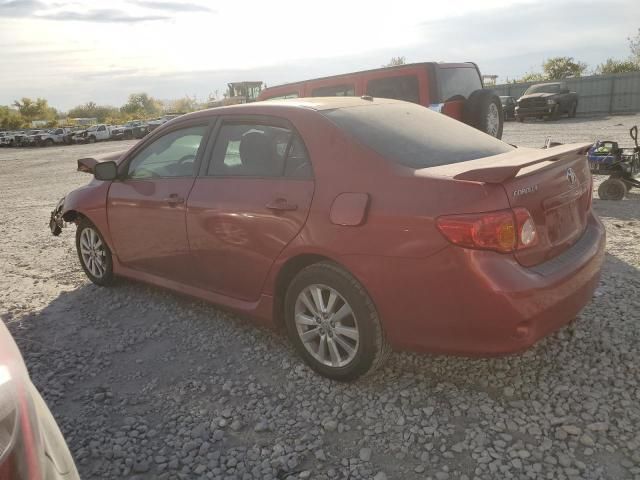 2010 Toyota Corolla Base